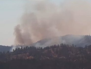 Declaran Alerta Roja para Valparaíso por incendio forestal en la Reserva Lago Peñuelas