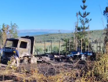 Sujetos armados quemaron cuatro camiones de una empresa forestal en Los Sauces