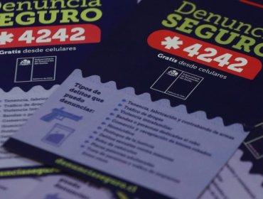 Programa «Denuncia Seguro 2024» en la región de Valparaíso: 76% de los delitos informados están relacionados a ley de drogas