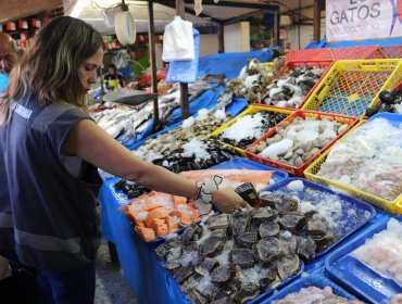 28 sumarios sanitarios se han cursado en materia de alimentos durante la primera quincena de enero en la Quinta Región