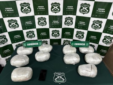 Sorprenden a extranjero portando más de 11 kilos de droga en su equipaje al interior de un bus en Hijuelas