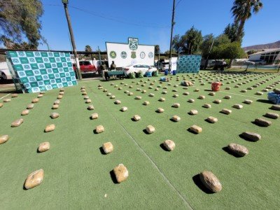 Tres detenidos en Atacama: Fueron sorprendidos con más de 600 kilos de droga