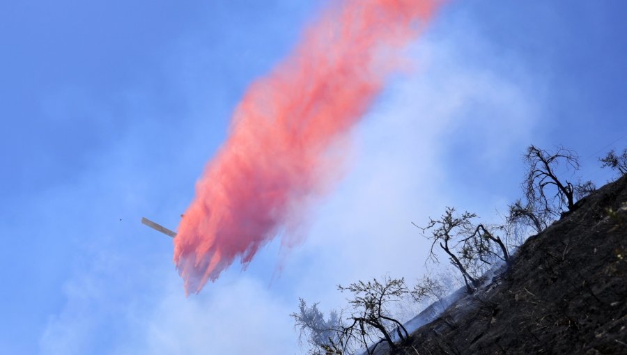 Senapred decreta alerta roja en Rancagua por incendio forestal