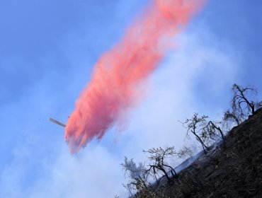 Senapred decreta alerta roja en Rancagua por incendio forestal