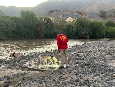 Hallan restos humanos en ribera norte del río Aconcagua en San Felipe