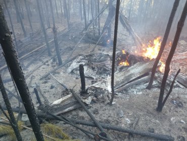 Helicóptero se estrella en Paredones en la región de O'Higgins y provoca incendio forestal