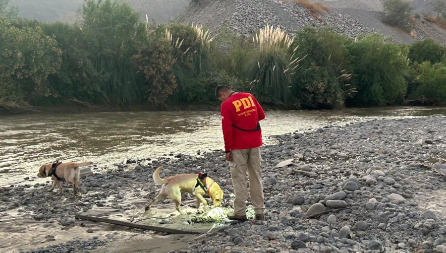 Hallan restos humanos en ribera norte del río Aconcagua en San Felipe