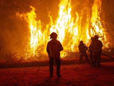 Tres brigadistas de empresa privada murieron combatiendo un incendio forestal en Los Sauces: hay otros nueve heridos