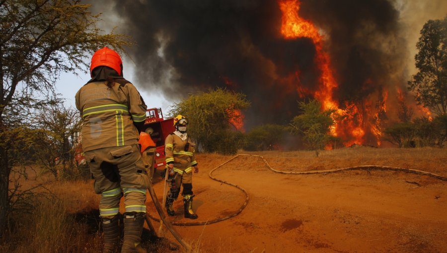 Conaf reporta 36 incendios forestales en Chile: ocho de ellos siguen en combate