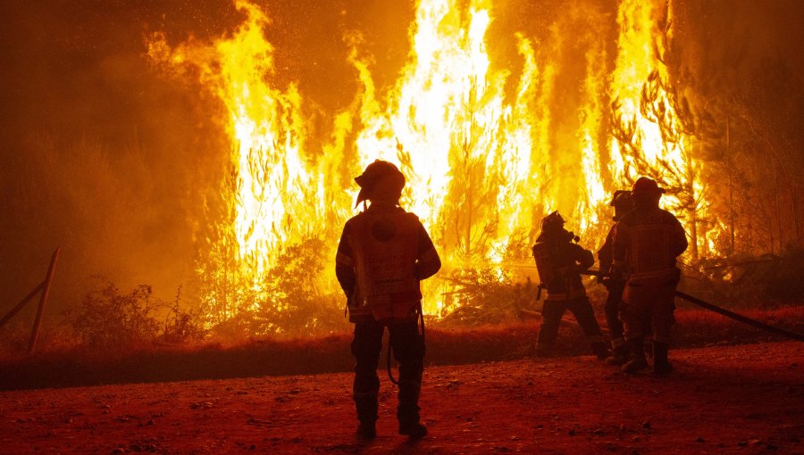 Tres brigadistas de empresa privada murieron combatiendo un incendio forestal en Los Sauces: hay otros nueve heridos