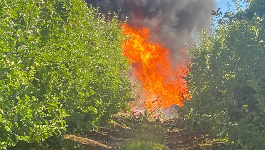 Avioneta con cuatro ocupantes cae en Freire y se incendia tras el impacto: piloto resultó con lesiones