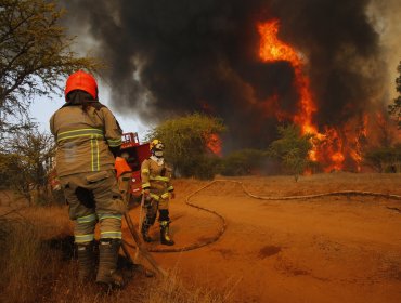 Conaf reporta 36 incendios forestales en Chile: ocho de ellos siguen en combate