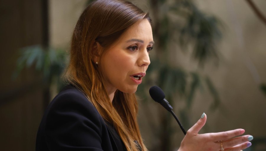 Diputada Flores pide explicaciones por recorte presupuestario a Carabineros y PDI, y llama al Gobierno a "sacar a apitutados políticos"