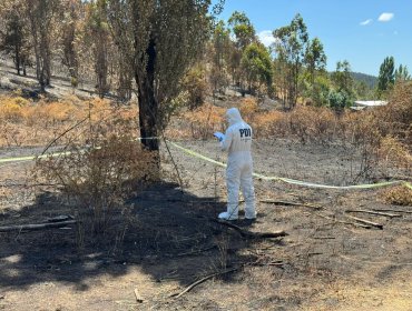 Mujer fue detenida como presunta responsable del incendio forestal donde murieron tres brigadistas en Los Sauces