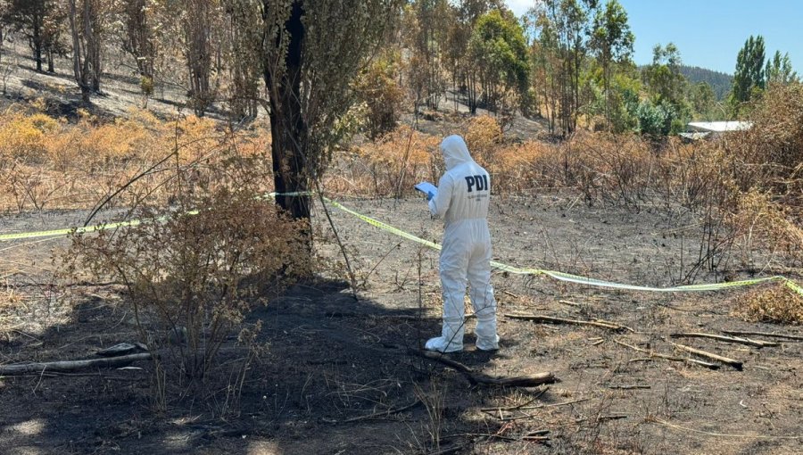 Mujer fue detenida como presunta responsable del incendio forestal donde murieron tres brigadistas en Los Sauces