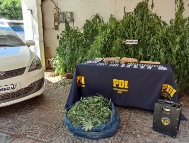 Operativo antinarcóticos deja dos detenidos y 10 kilos de drogas incautados en Limache