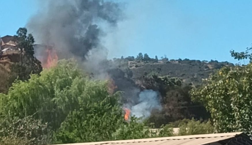 Senapred activa la mensajería SAE y solicita evacuar el sector Las Cabras de Villa Alemana por incendio forestal