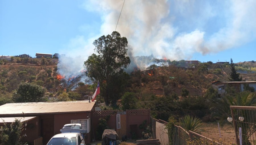 Declaran Alerta Roja para Villa Alemana por incendio forestal que ha consumido cinco hectáreas