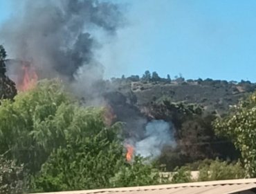 Senapred activa la mensajería SAE y solicita evacuar el sector Las Cabras de Villa Alemana por incendio forestal