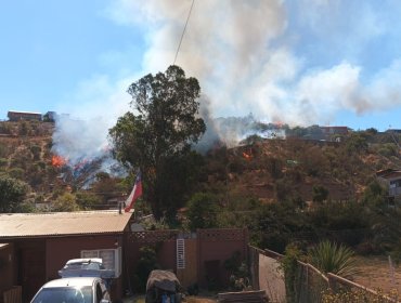 Declaran Alerta Roja para Villa Alemana por incendio forestal que ha consumido cinco hectáreas