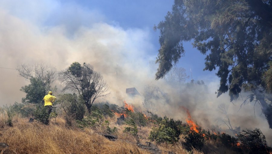 Declaran Alerta Temprana Preventiva para la región de Valparaíso por amenaza de incendios forestales