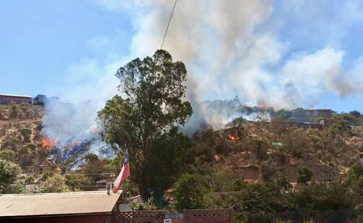 Sujeto en estado de ebriedad fue detenido como presunto autor de incendio forestal en Villa Alemana: se quemaron 10 mil m2