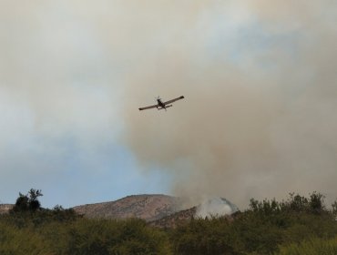 Incendio en Talagante ha consumido 175 hectáreas: un trabajador que se autodenunció por usar galletera fue detenido