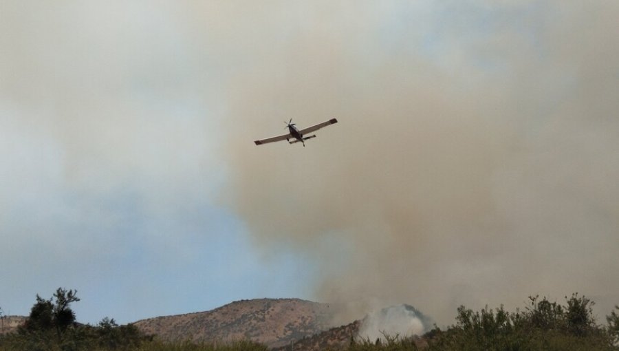 Incendio en Talagante ha consumido 175 hectáreas: un trabajador que se autodenunció por usar galletera fue detenido