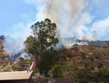 Sujeto en estado de ebriedad fue detenido como presunto autor de incendio forestal en Villa Alemana: se quemaron 10 mil m2