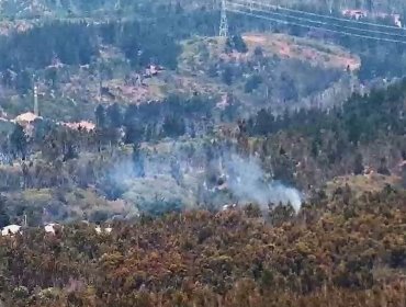 Bomberos y personal de Conaf combaten incendio forestal en el Camino La Pólvora de Valparaíso