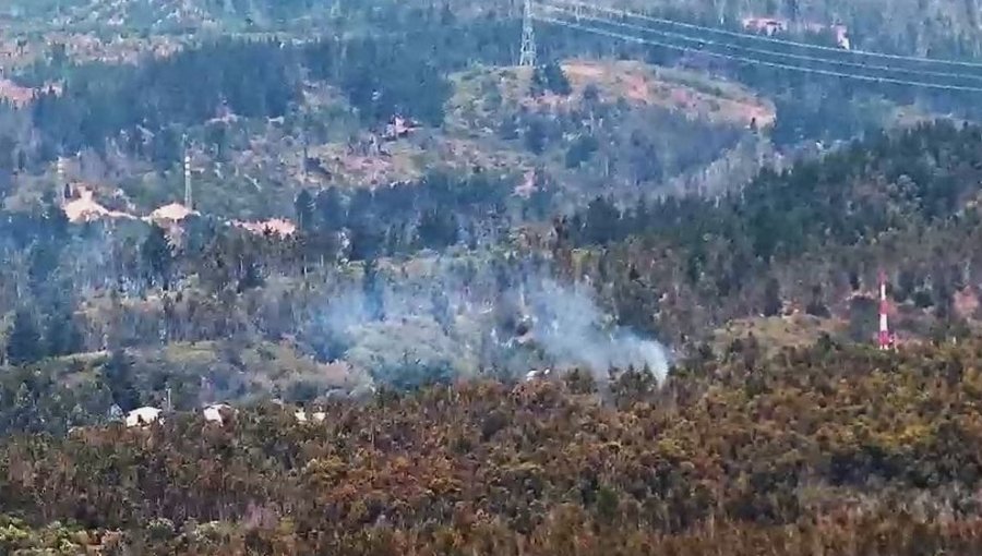 Bomberos y personal de Conaf combaten incendio forestal en el Camino La Pólvora de Valparaíso