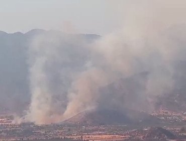 Solicitan evacuar sector Camino El Navío en Nogales por incendio forestal descontrolado