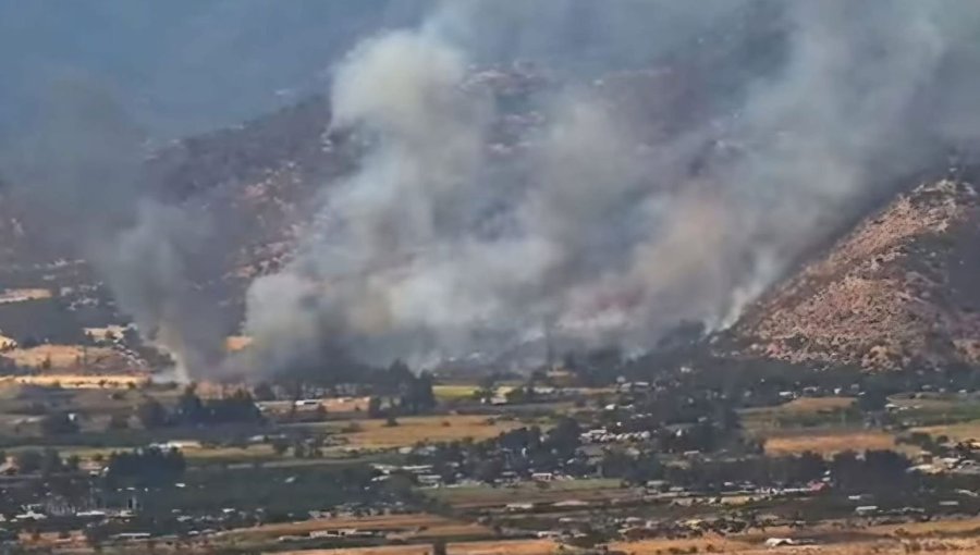 "De 4 a 4,5 hectáreas afectadas": Alcaldesa de Nogales actualiza alcance de grave incendio que obligó a evacuar sector El Navío