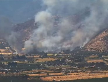 "De 4 a 4,5 hectáreas afectadas": Alcaldesa de Nogales actualiza alcance de grave incendio que obligó a evacuar sector El Navío