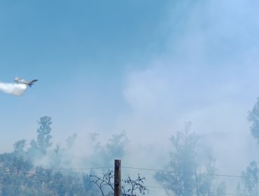 Incendio forestal afecta a más de 1,5 hectáreas en sector La Palma en Quillota