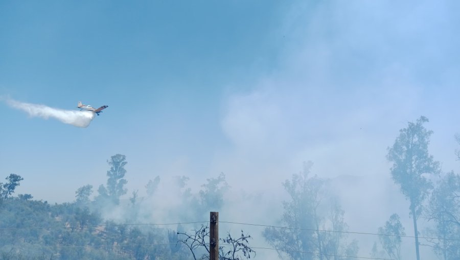 Incendio forestal afecta a más de 1,5 hectáreas en sector La Palma en Quillota