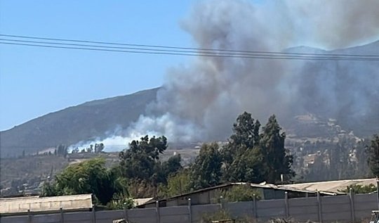 Bomberos y personal de Conaf combaten incendio forestal en las comunas de Quintero y Quillota