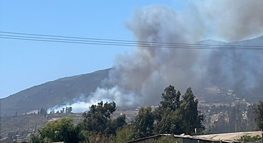 Controlan incendio forestal que afecta a las comunas de Quintero y Quillota: 6,4 hectáreas han sido consumidas