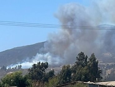 Controlan incendio forestal que afecta a las comunas de Quintero y Quillota: 6,4 hectáreas han sido consumidas