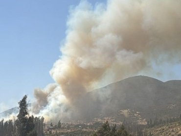 Declaran Alerta Roja para las comunas de Quintero y Quillota por incendio forestal