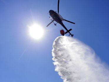 Incendios forestales vuelven a impactar a la Quinta Región: cuatro comunas en Alerta Roja por fuego cercano a sectores poblados