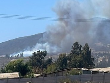 Bomberos y personal de Conaf combaten incendio forestal en las comunas de Quintero y Quillota