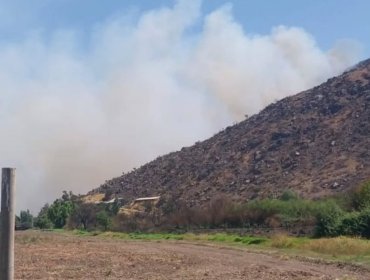 20 hectáreas ha consumido el incendio forestal que obligó a declarar Alerta Roja para la comuna de Catemu