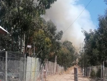 Senapred activa mensajería SAE y solicita evacuar el sector Parcelas de Huaquén de La Ligua por incendio forestal