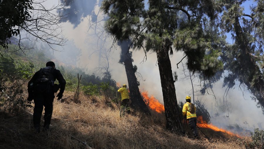 Cerca de 40 hectáreas han consumido los incendios forestales en las comunas de Catemu, La Ligua, Quintero y Quillota