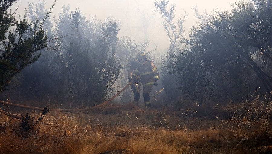 Cancelan la Alerta Roja para las comunas de Quintero y Quillota tras control de incendio forestal que afectó a 6.4 hectáreas