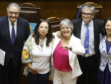 Senado aprobó la reforma previsional por 40 votos a favor y 7 en contra: ahora cumplirá su tercer trámite en la Cámara de Diputados