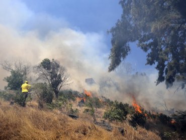 Declaran Alerta Roja para la comuna de La Ligua por incendio forestal "cercano a sectores poblados"