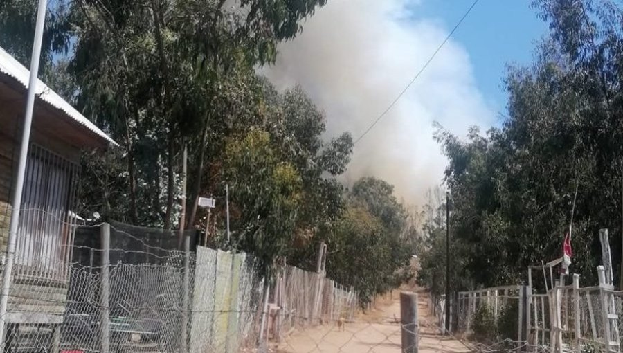 Senapred activa mensajería SAE y solicita evacuar el sector Parcelas de Huaquén de La Ligua por incendio forestal