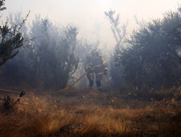 Cancelan la Alerta Roja para las comunas de Quintero y Quillota tras control de incendio forestal que afectó a 6.4 hectáreas